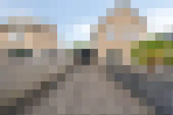 Hessenbergstraat 13 b Zetten thumbnail 6