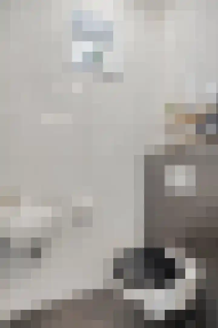 Hessenbergstraat 13 b Zetten thumbnail 9