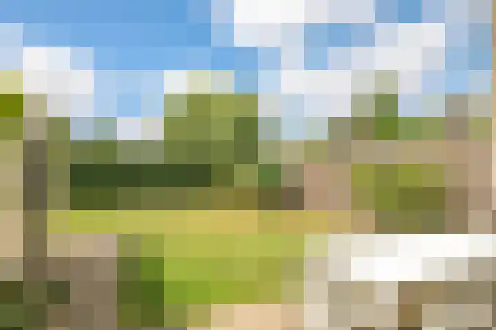 Hessenbergstraat 7 Zetten thumbnail 47