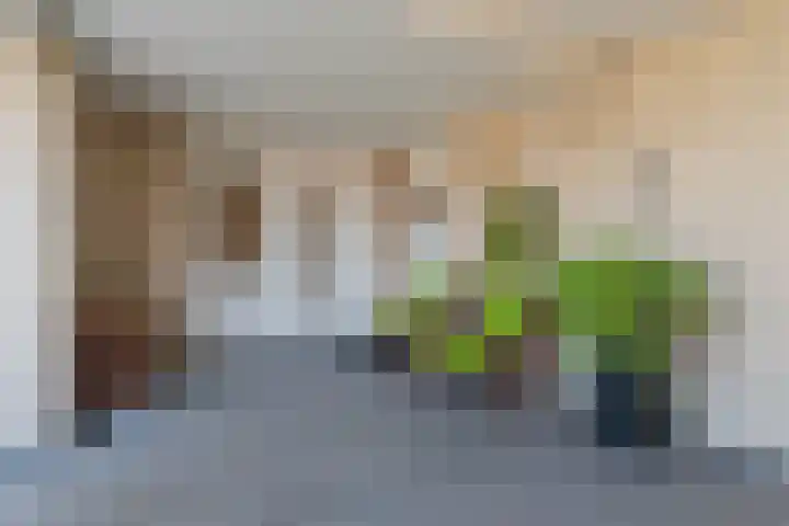 Hessenhof 37 De Bilt thumbnail 12
