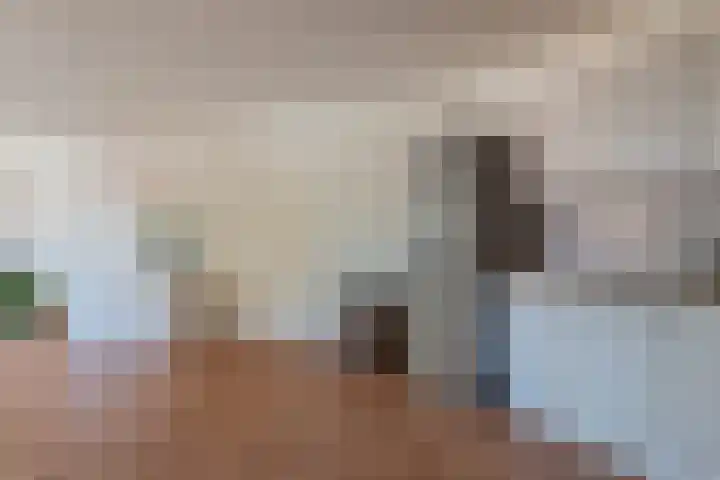 Hessenhof 37 De Bilt thumbnail 18