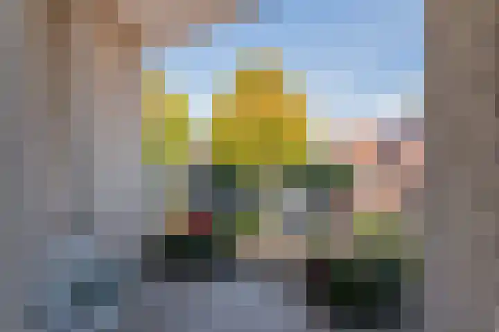 Hessenhof 37 De Bilt thumbnail 20