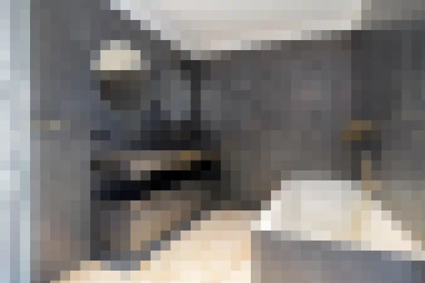 Hessenpad 13 Ede thumbnail 16