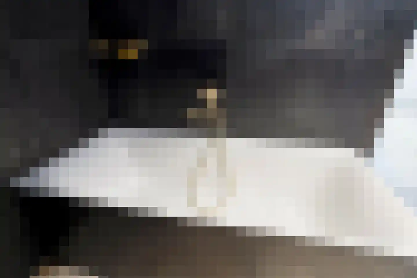 Hessenpad 13 Ede thumbnail 17