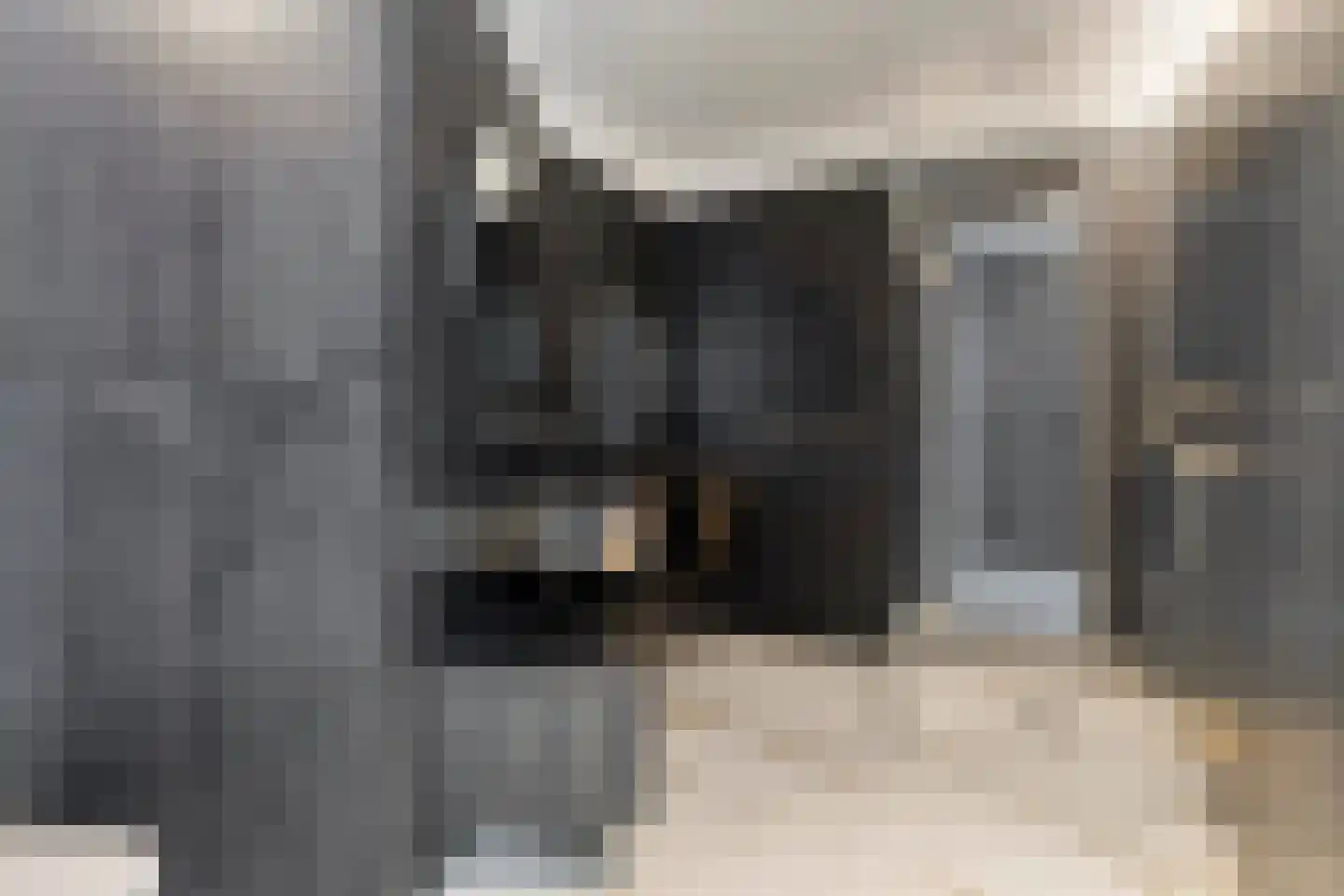 Hessenpad 13 Ede thumbnail 23