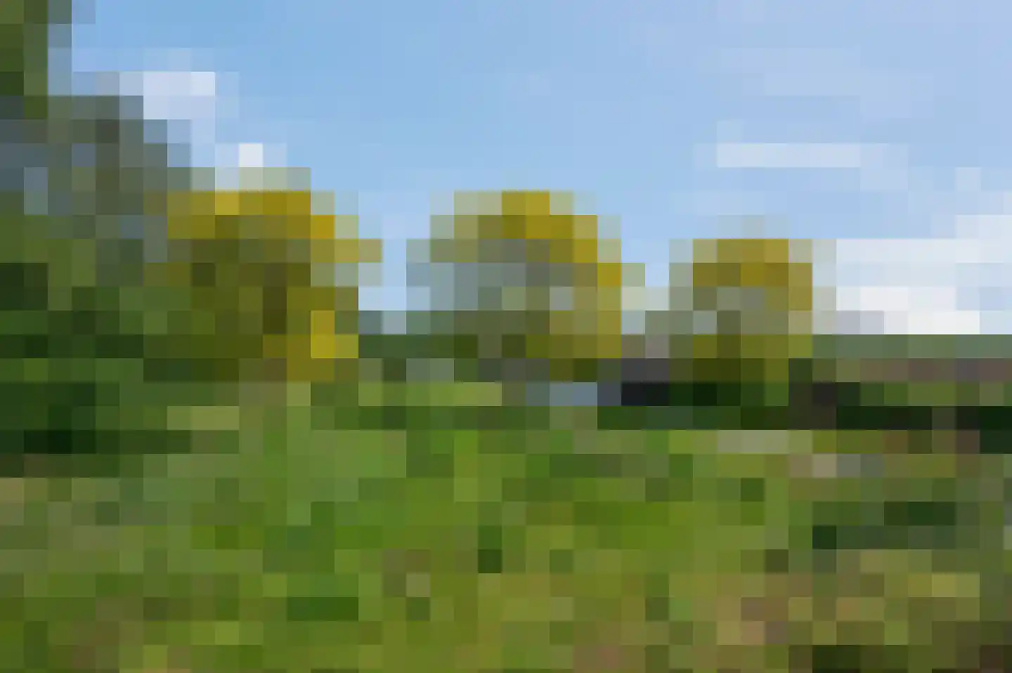 Hessenpad 13 Ede thumbnail 39