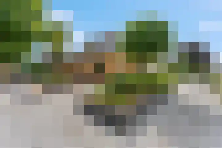 Hessenweg 1 Barneveld thumbnail 12