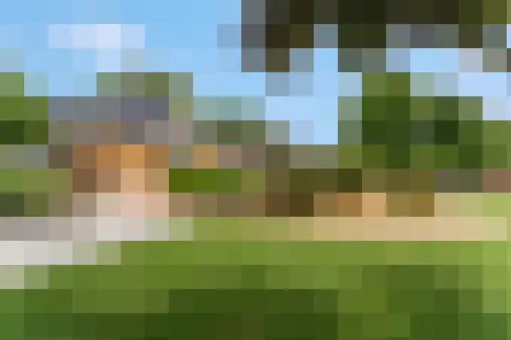 Hessenweg 1 Barneveld thumbnail 9