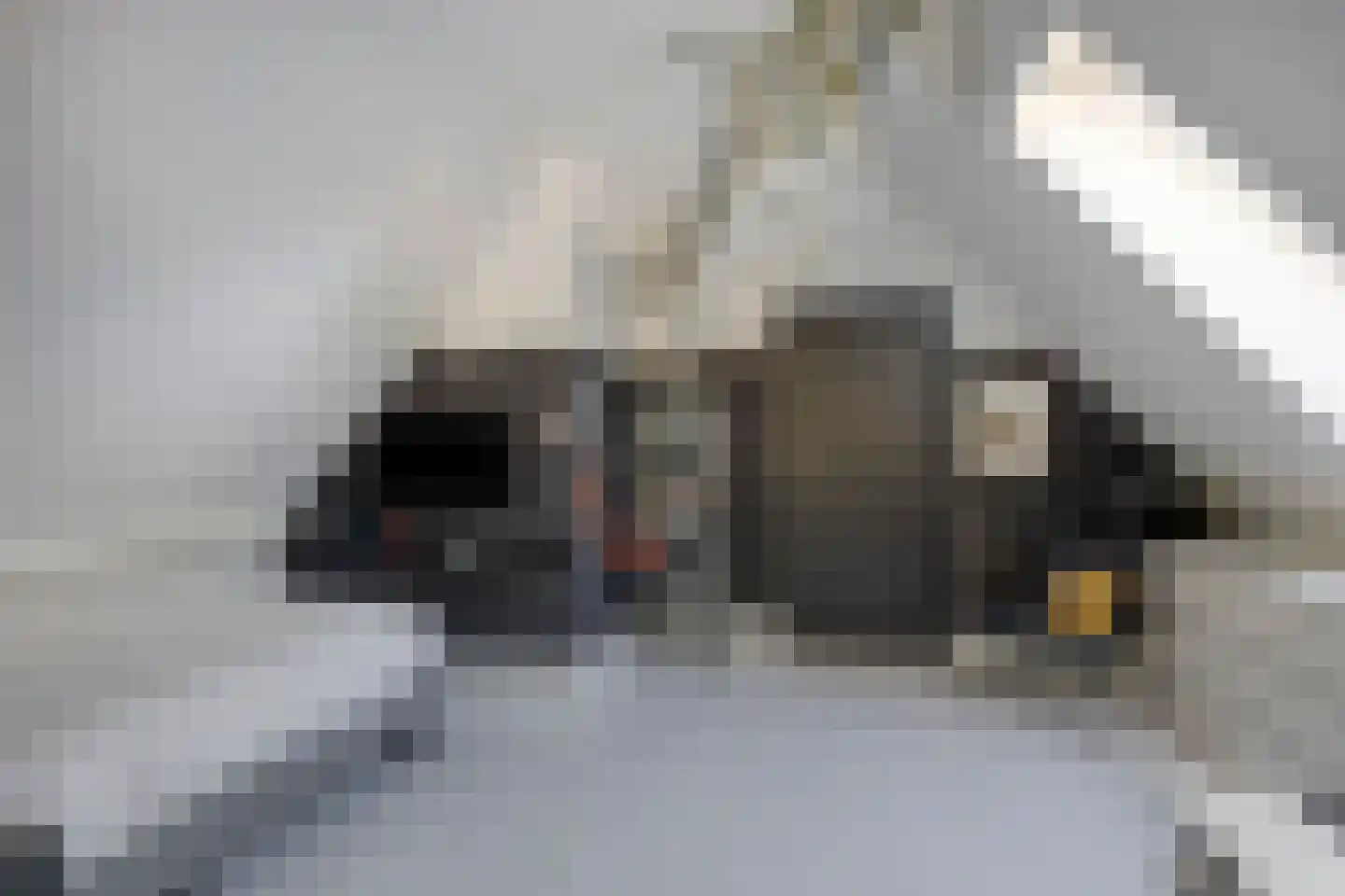Hessenweg 120 Lunteren thumbnail 32