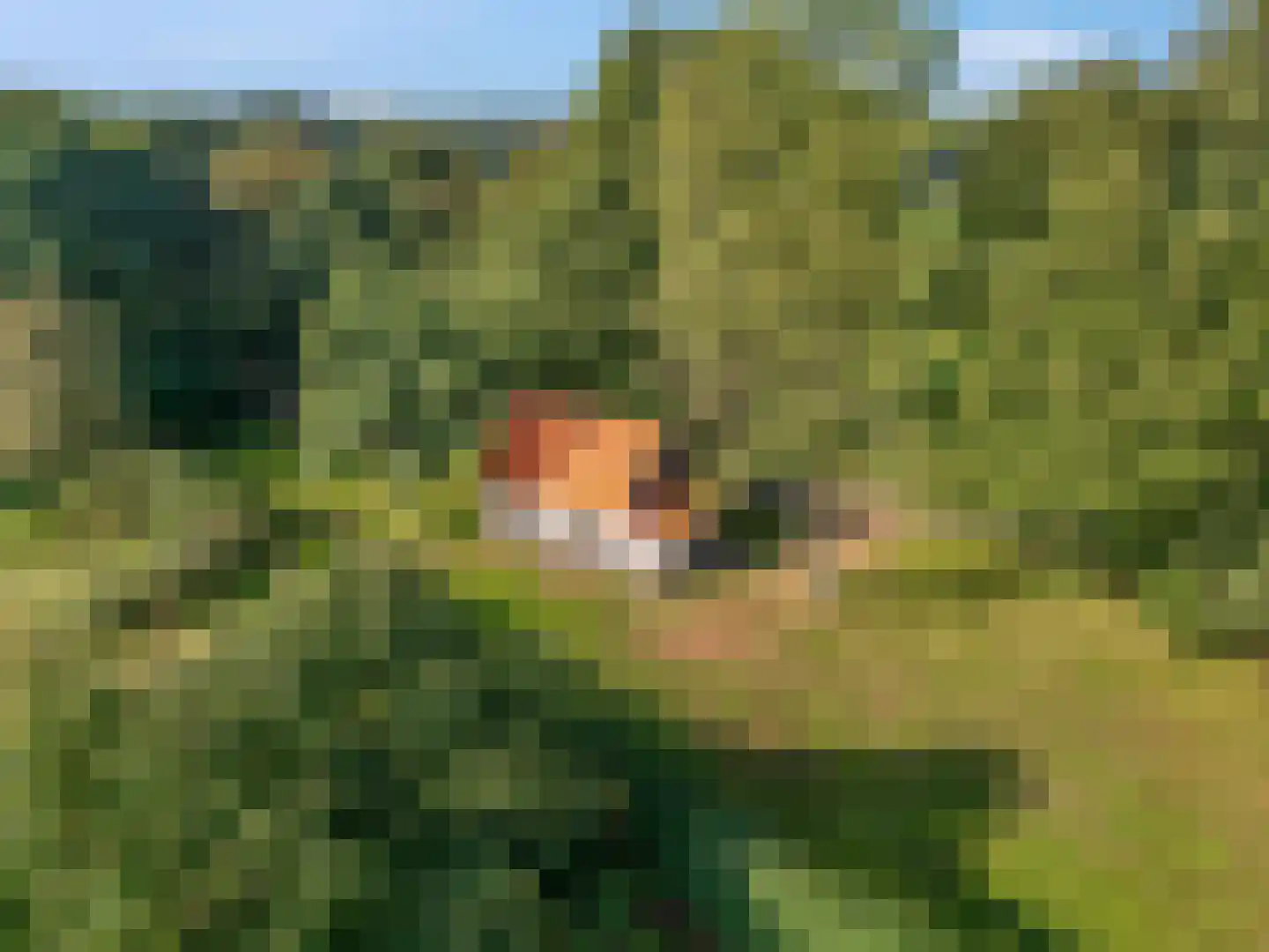 Hessenweg 120 Lunteren thumbnail 53