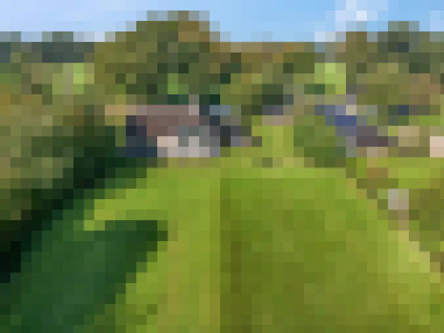 Hessenweg 120 Lunteren thumbnail 58