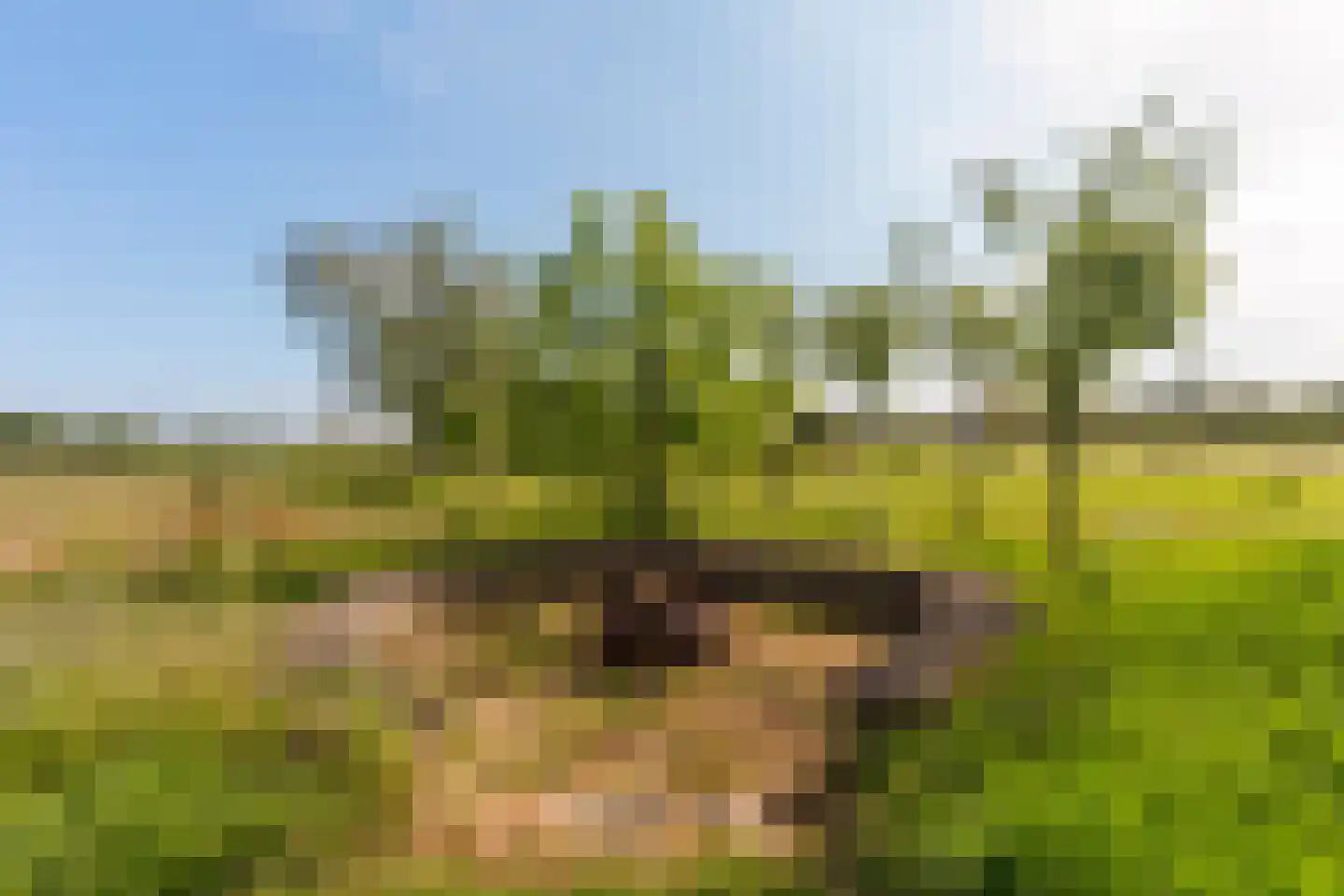 Hessenweg 123 Stoutenburg thumbnail 34