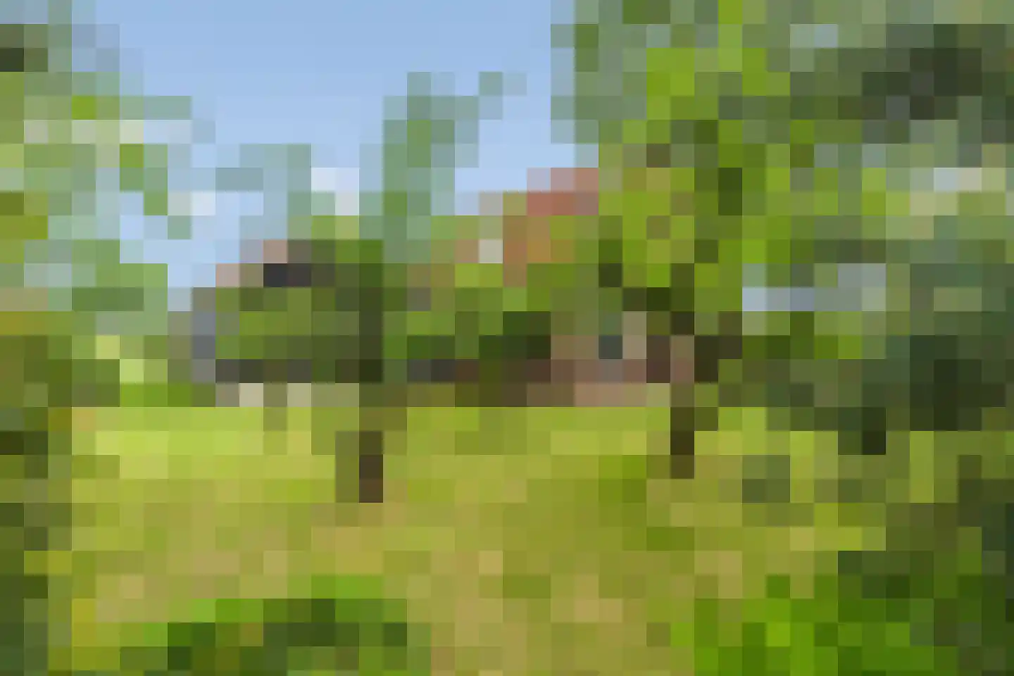 Hessenweg 123 Stoutenburg thumbnail 54