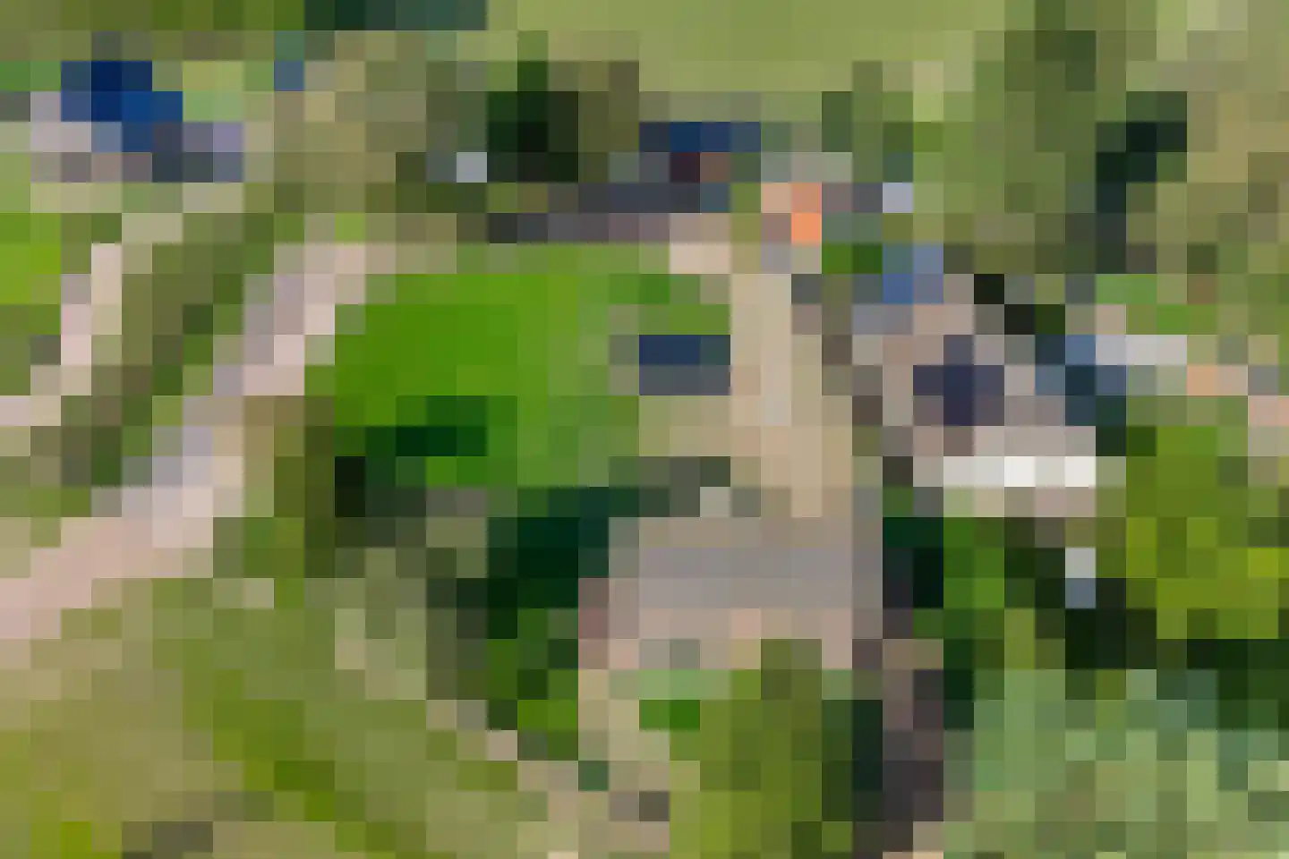 Hessenweg 13 Zwolle thumbnail 4