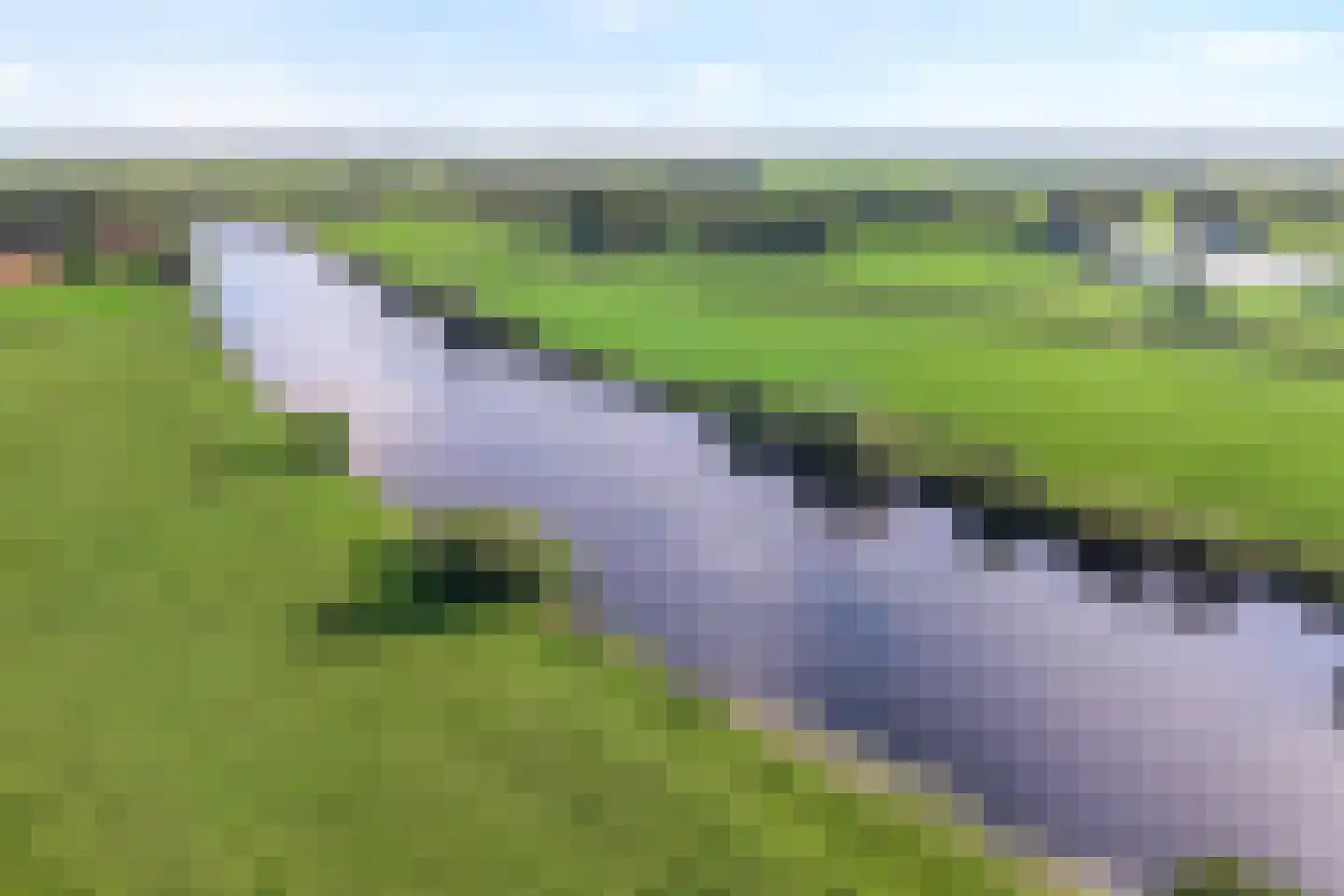 Hessenweg 13 Zwolle thumbnail 9
