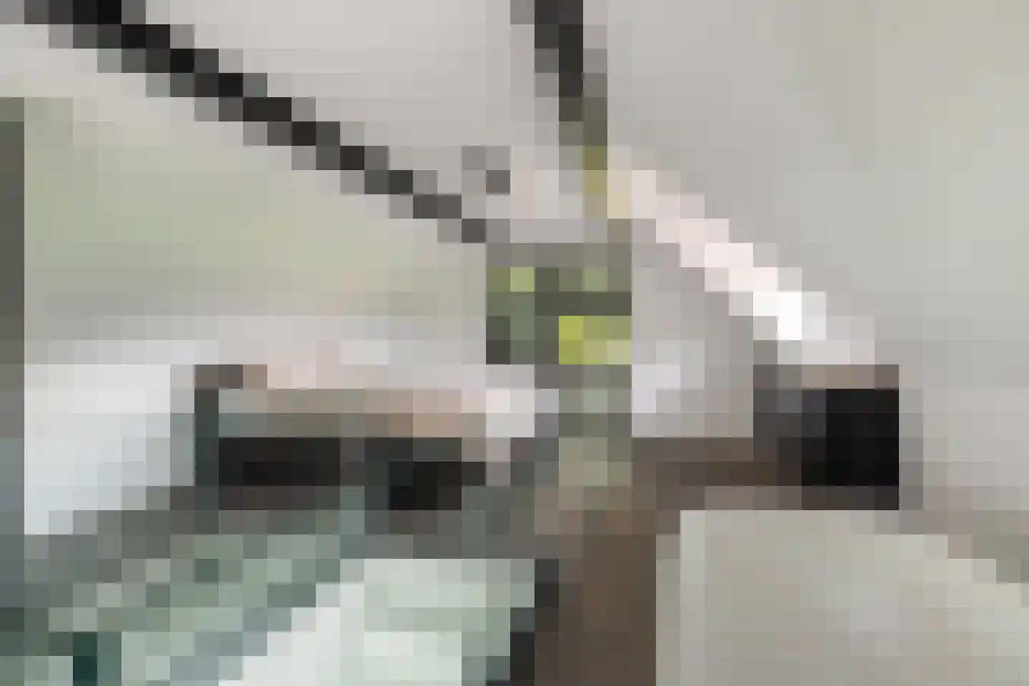 Hessenweg 130 Lunteren thumbnail 27