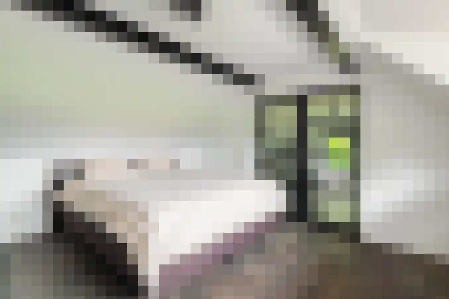 Hessenweg 130 Lunteren thumbnail 30