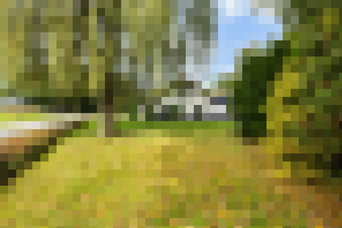 Hessenweg 130 Lunteren thumbnail 40