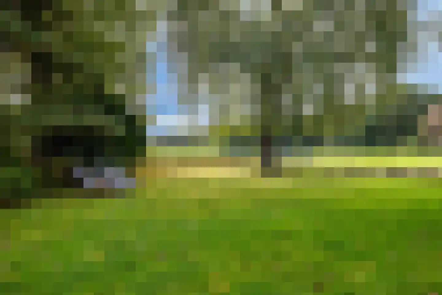 Hessenweg 130 Lunteren thumbnail 41