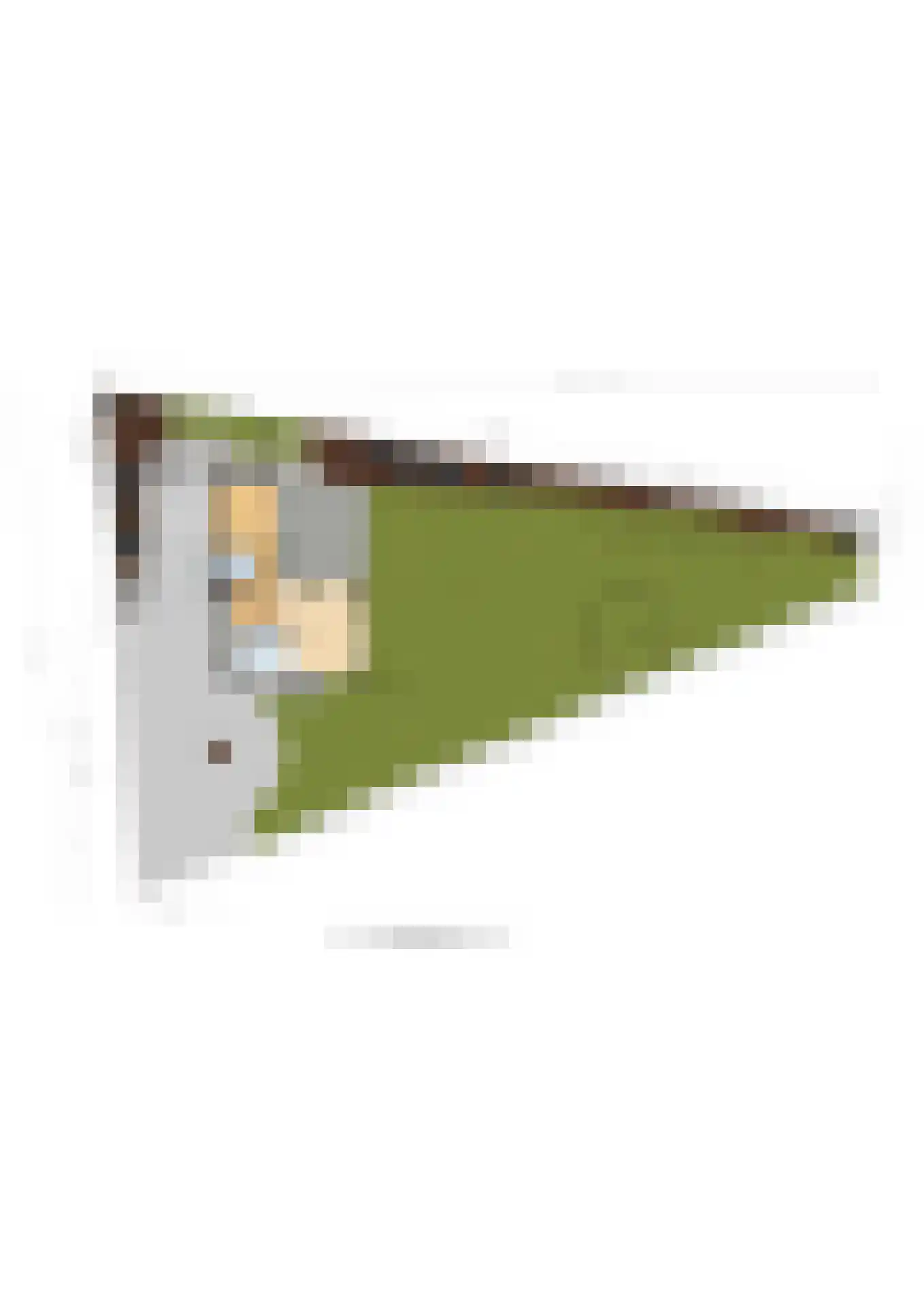Hessenweg 130 Lunteren thumbnail 44