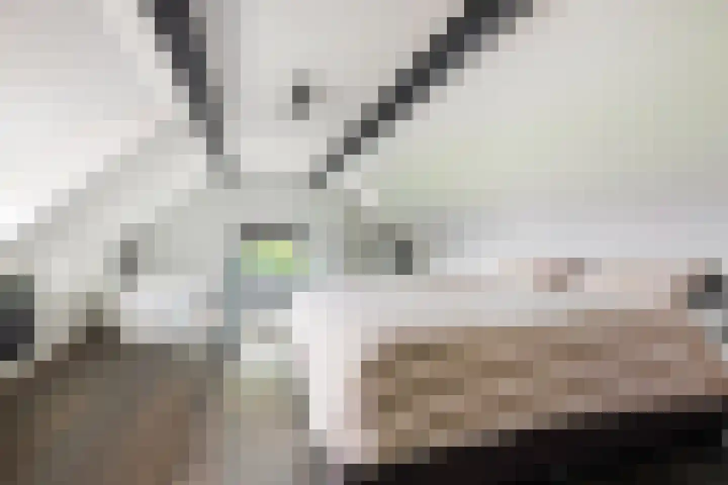 Hessenweg 130 Lunteren thumbnail 5
