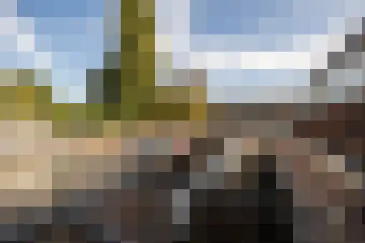 Hessenweg 14 De Bilt thumbnail 28