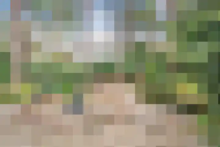 Hessenweg 149 Dalfsen thumbnail 4