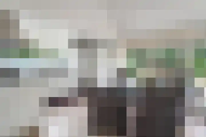 Hessenweg 149 Dalfsen thumbnail 8