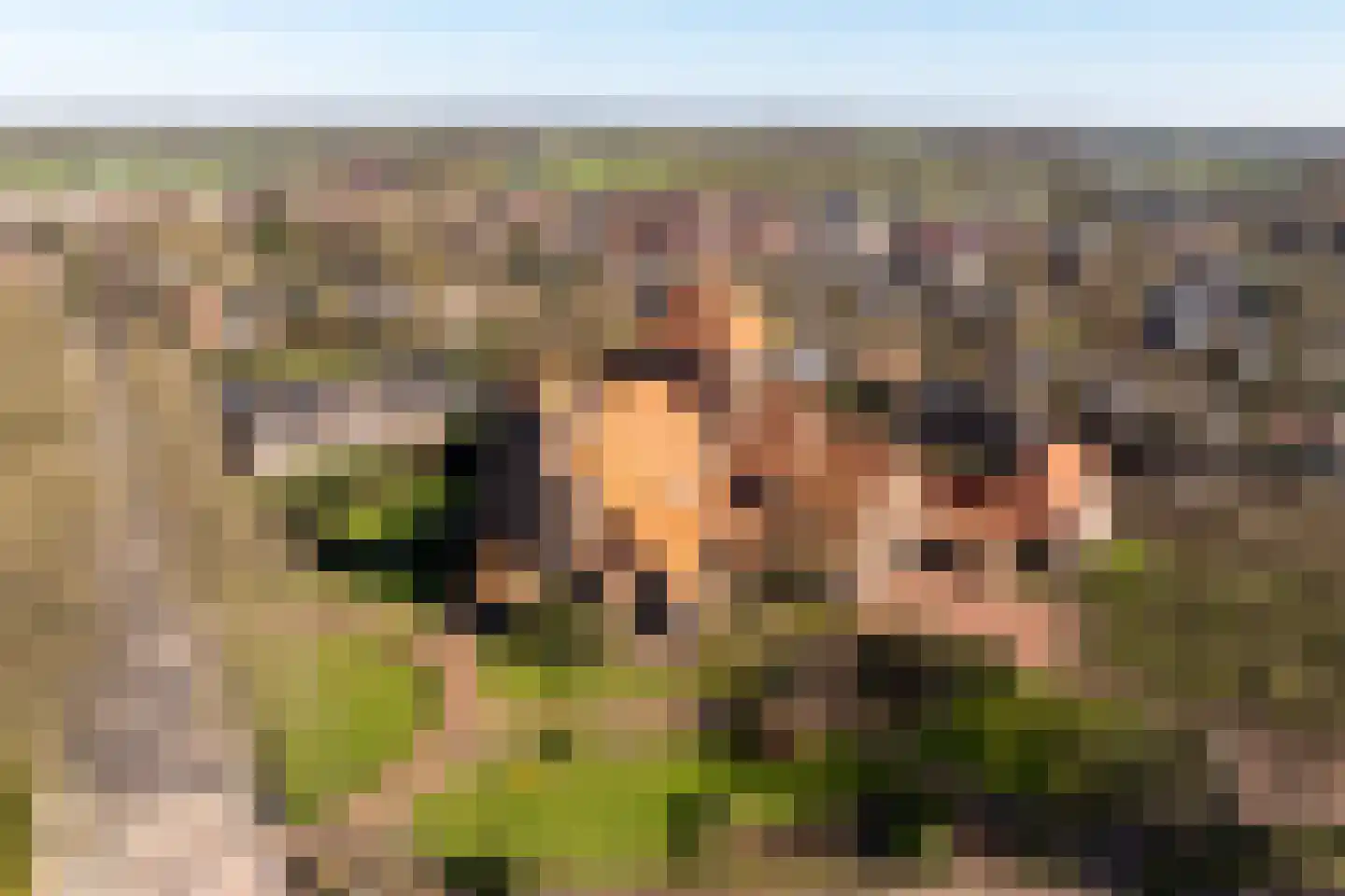 Hessenweg 188 g Achterveld thumbnail 30