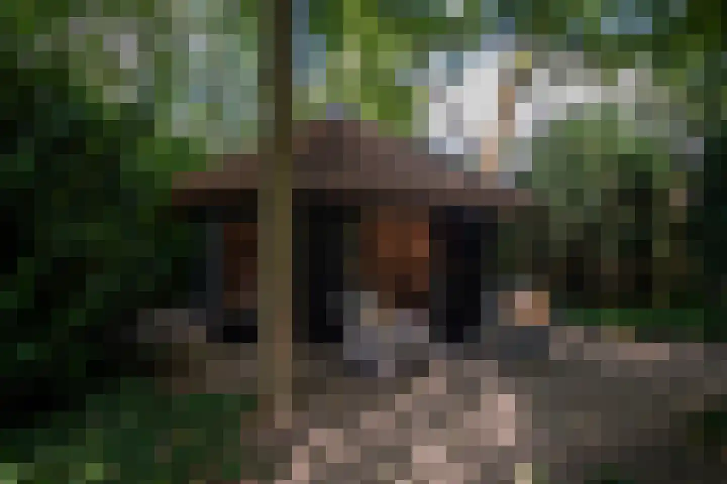 Hessenweg 189 b Achterveld thumbnail 43