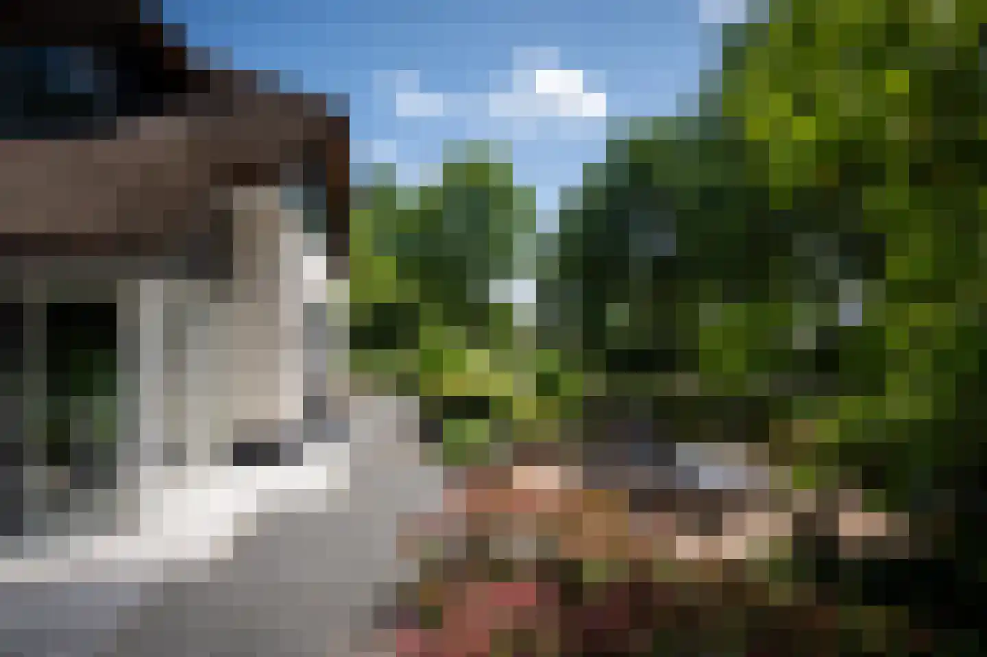 Hessenweg 189 b Achterveld thumbnail 51