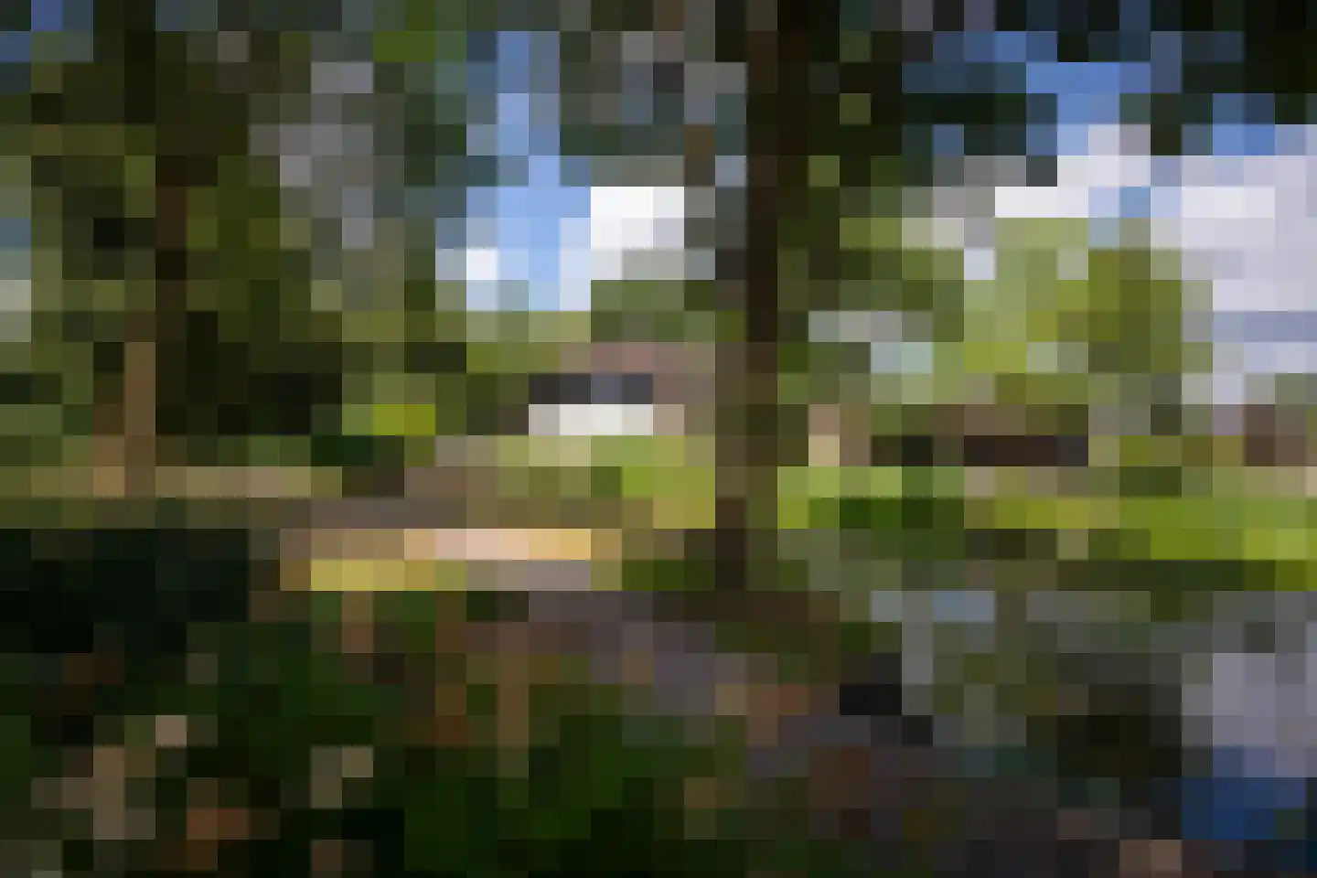 Hessenweg 189 b Achterveld thumbnail 56