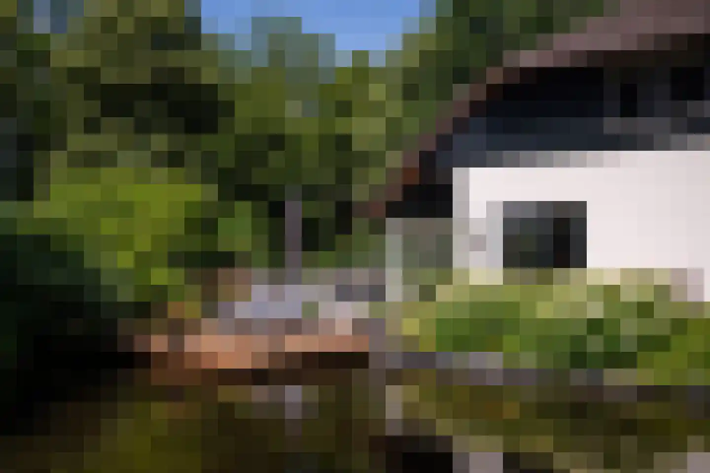 Hessenweg 189 b Achterveld thumbnail 59
