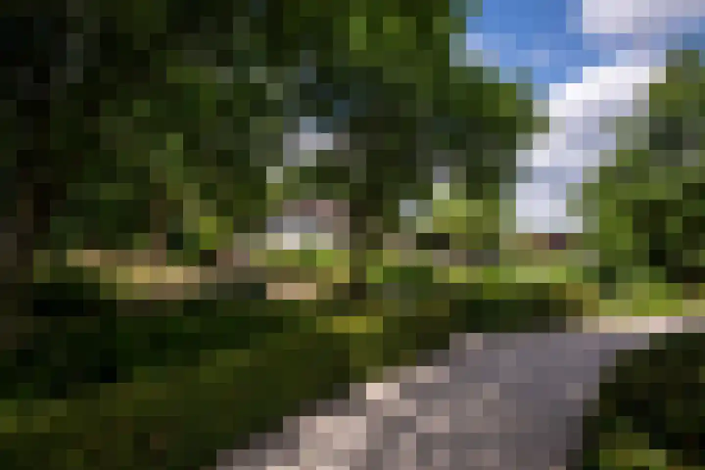Hessenweg 189 b Achterveld thumbnail 60