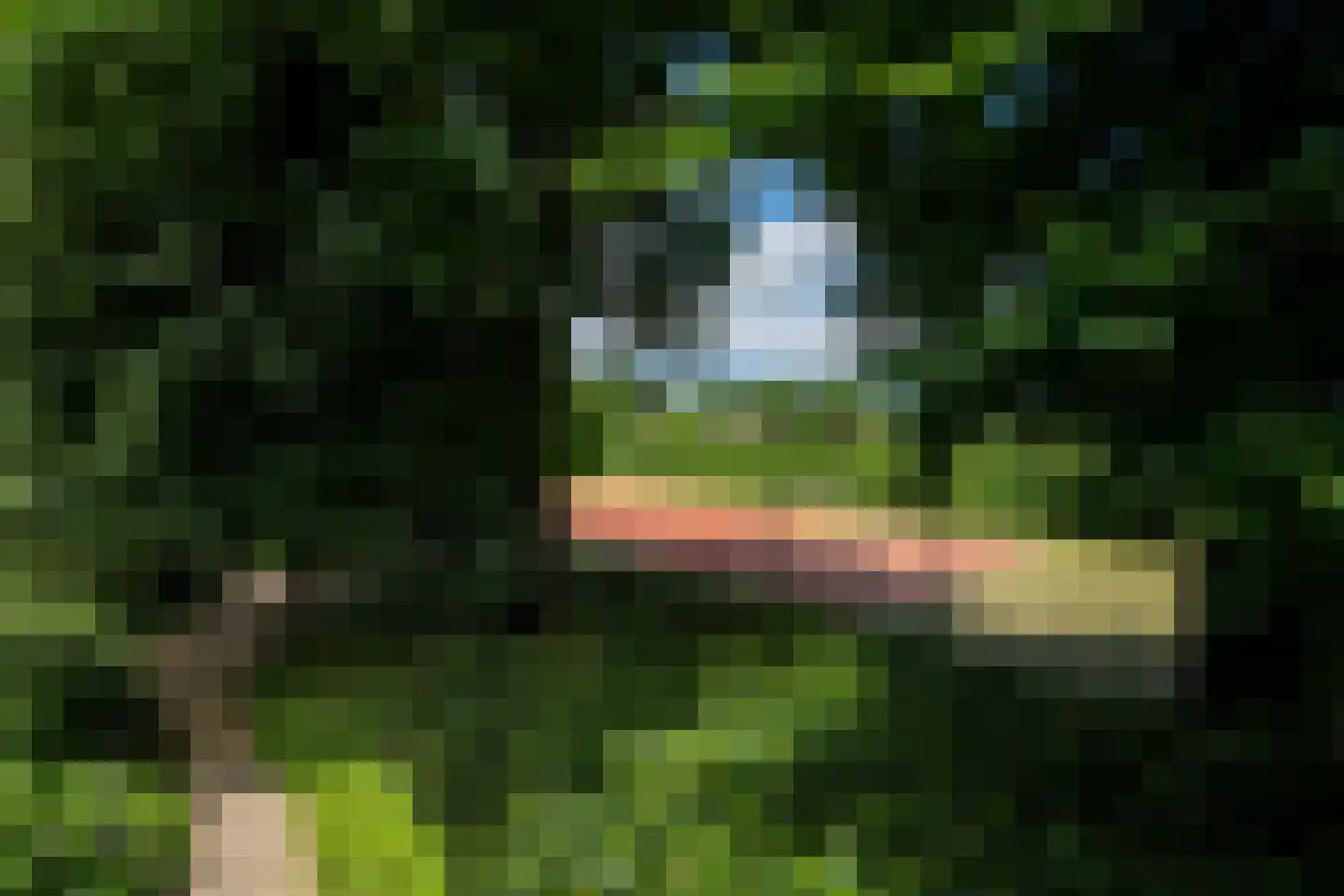 Hessenweg 189 b Achterveld thumbnail 68