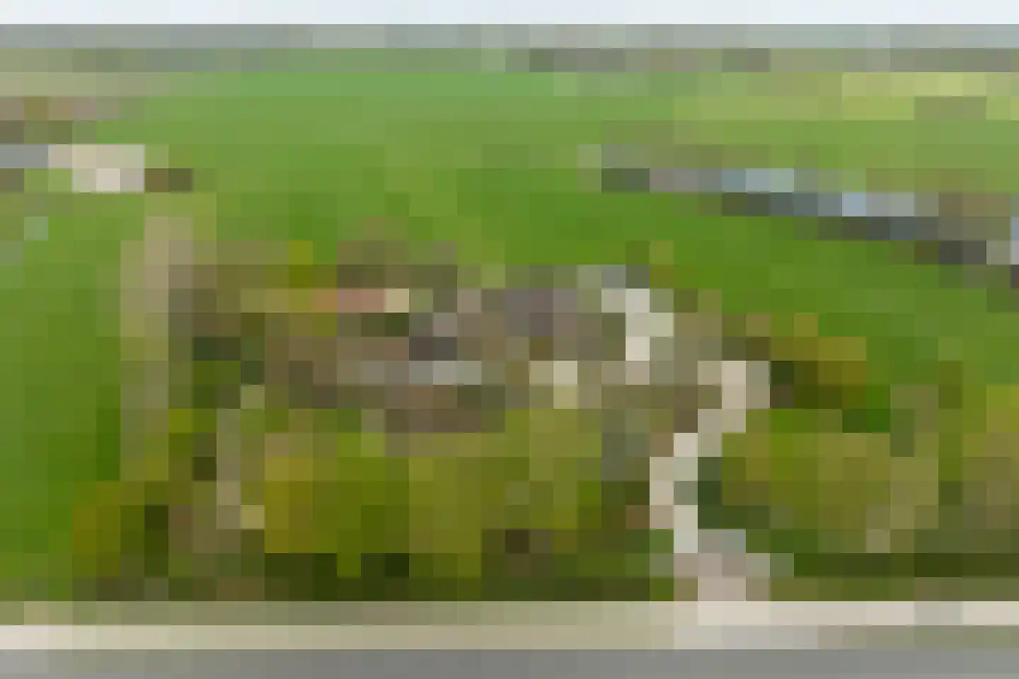 Hessenweg 189 b Achterveld thumbnail 75
