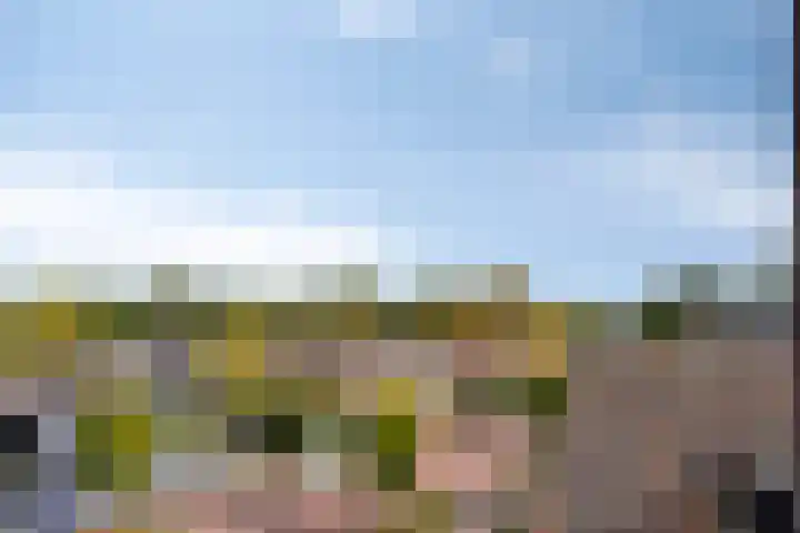 Hessenweg 196 g Achterveld thumbnail 23