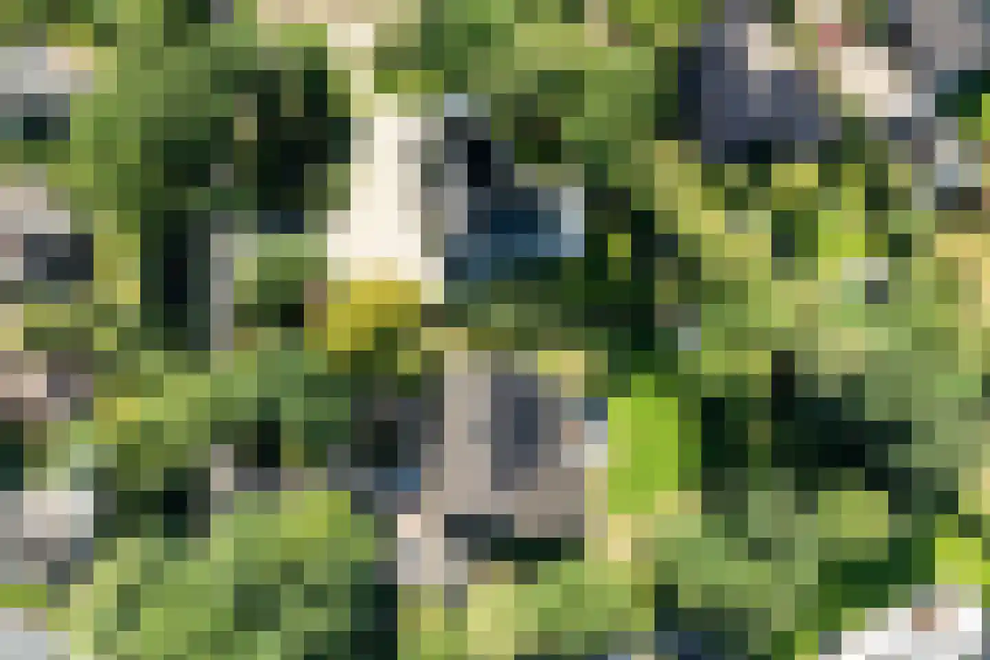 Hessenweg 2 Hierden thumbnail 44