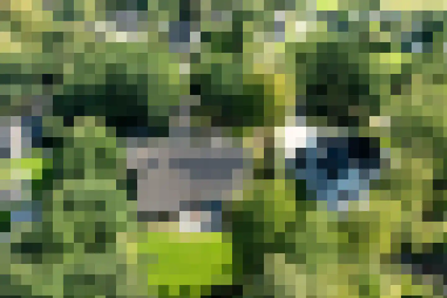 Hessenweg 2 Hierden thumbnail 48