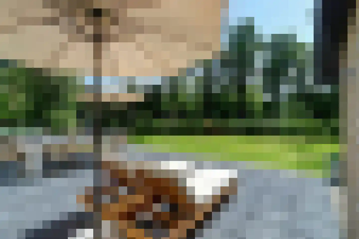 Hessenweg 2 Hierden thumbnail 5