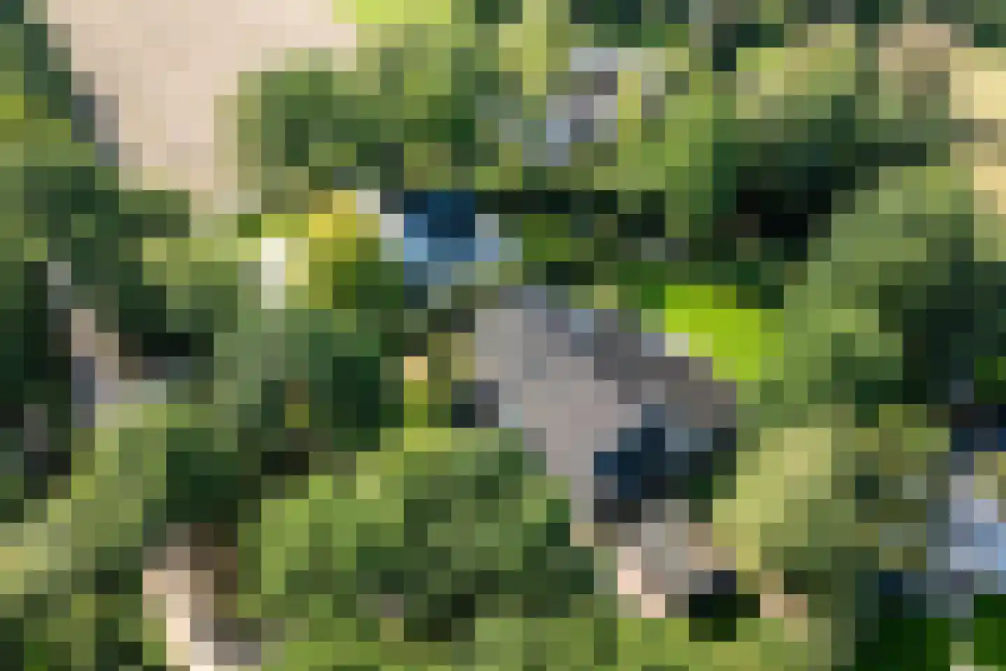 Hessenweg 2 Hierden thumbnail 50