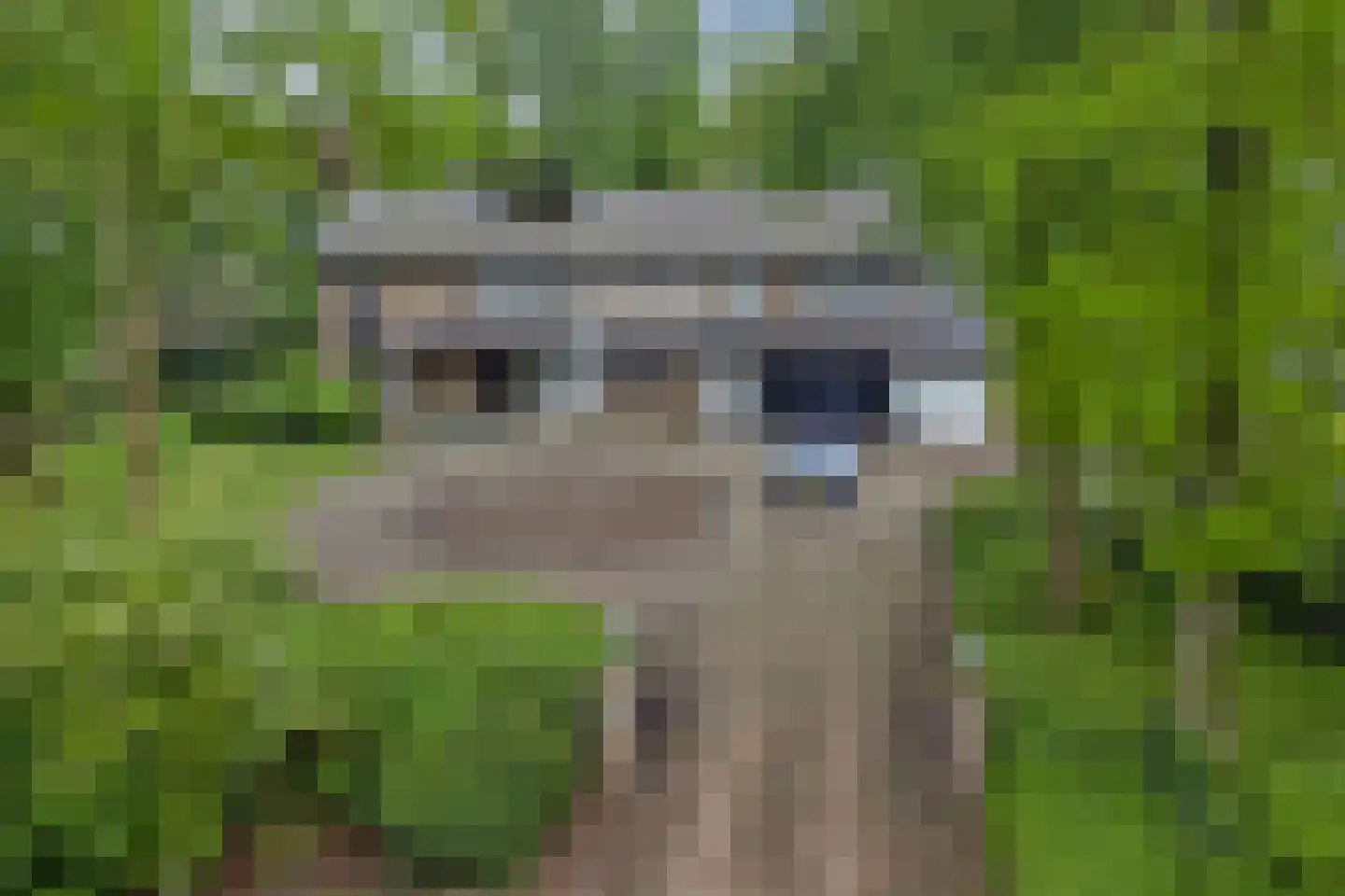 Hessenweg 2 Hierden thumbnail 50