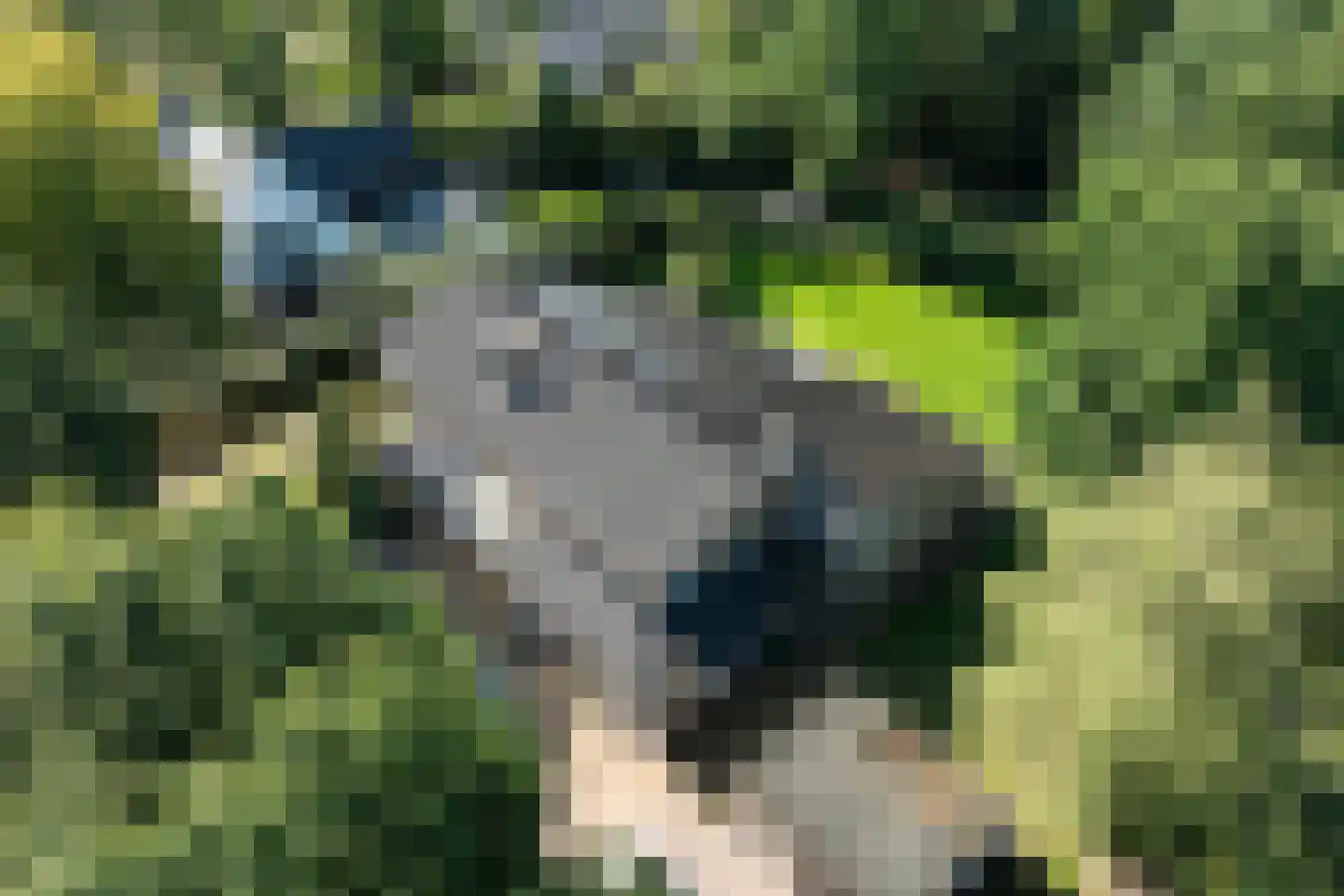 Hessenweg 2 Hierden thumbnail 51