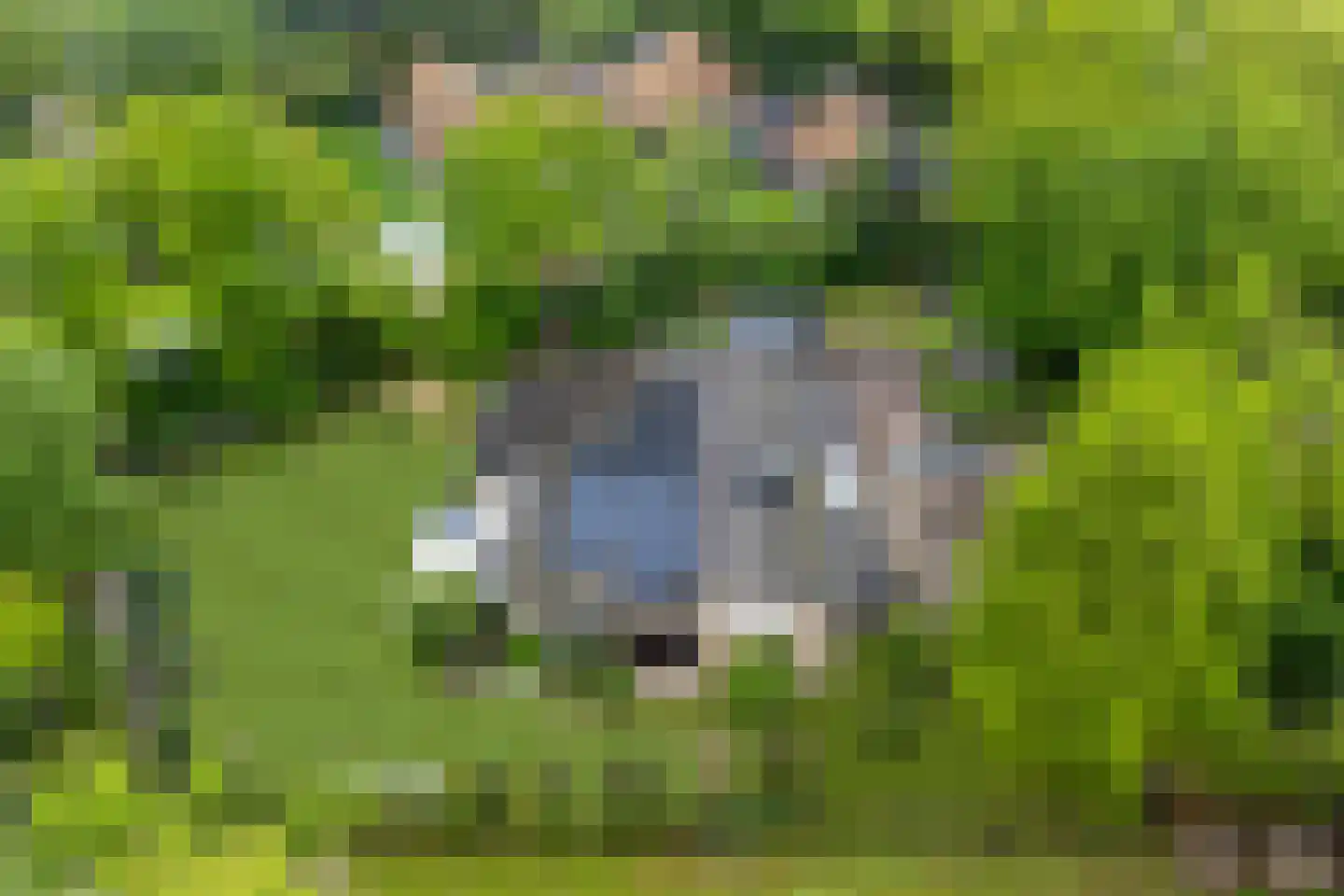 Hessenweg 2 Hierden thumbnail 7