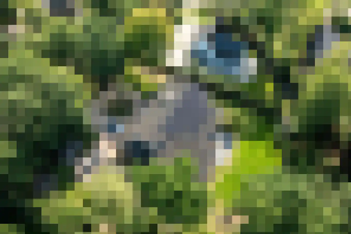 Hessenweg 2 Hierden thumbnail 9