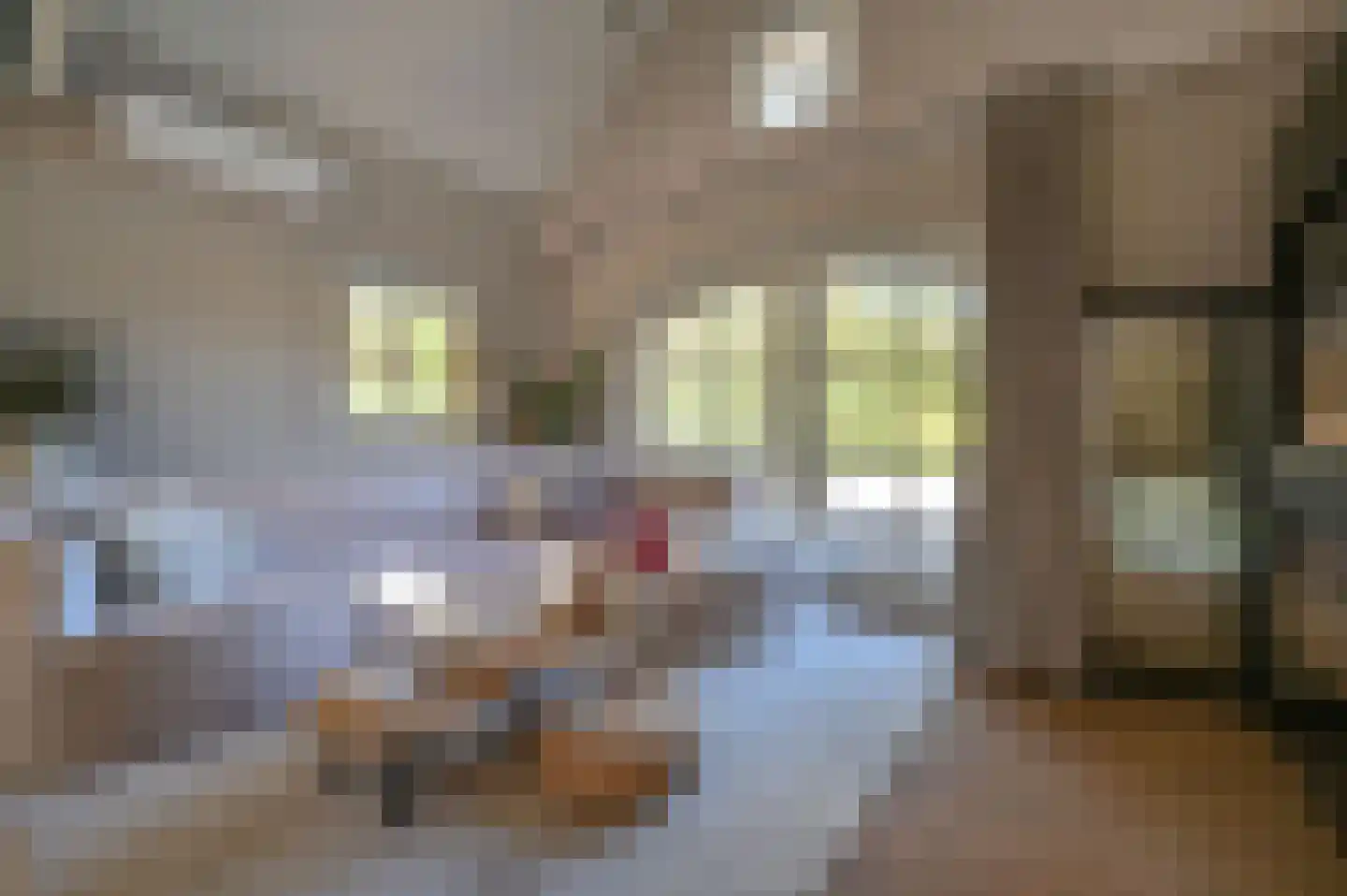Hessenweg 2 Putten thumbnail 35