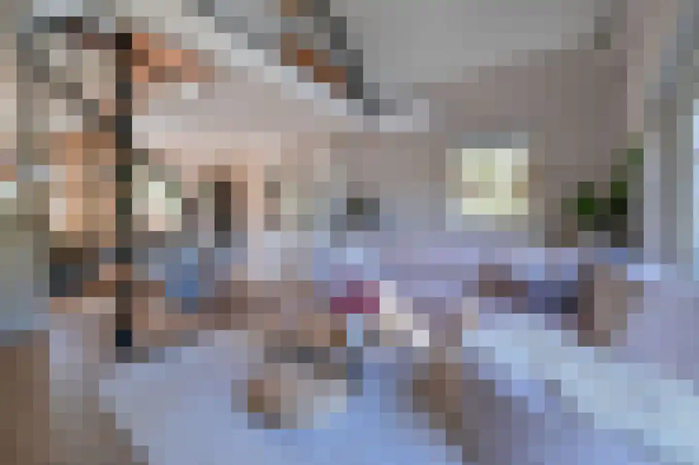 Hessenweg 2 Putten thumbnail 36
