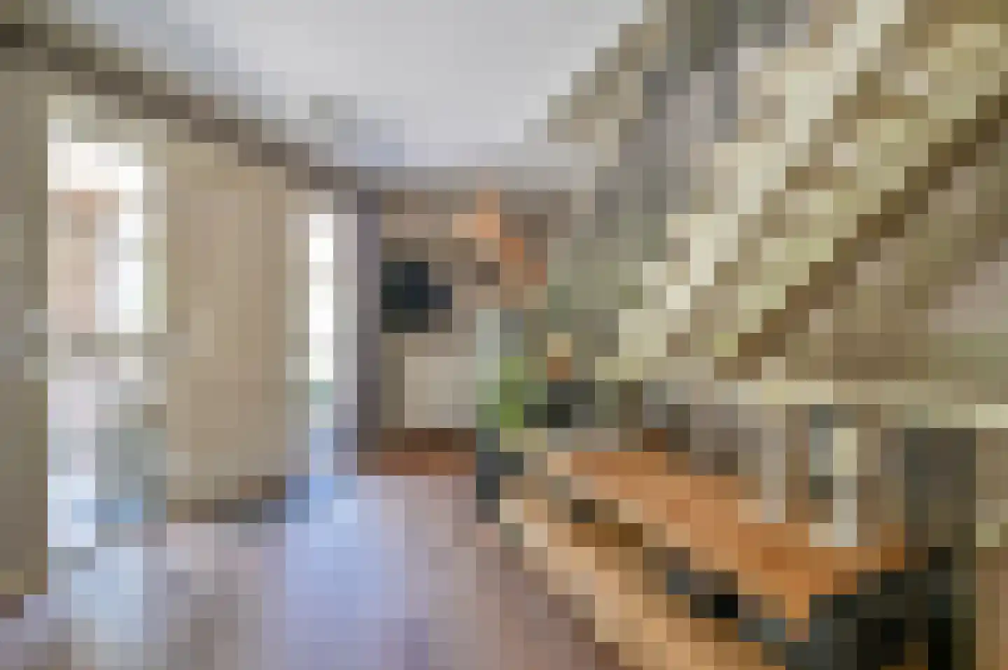Hessenweg 2 Putten thumbnail 4