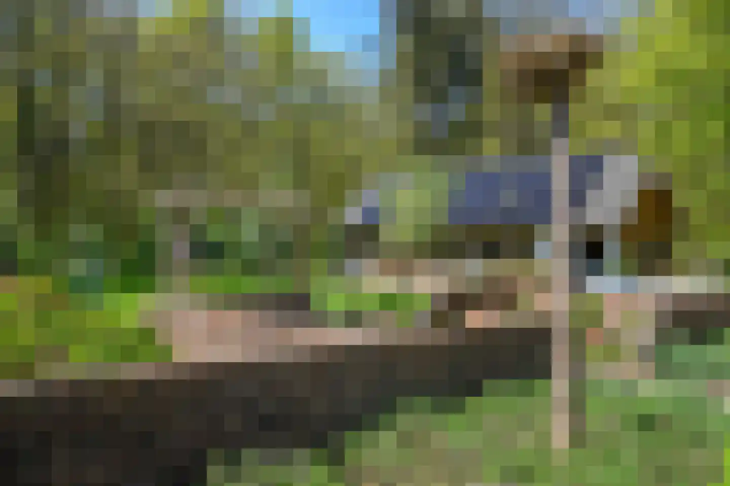 Hessenweg 2 Putten thumbnail 49