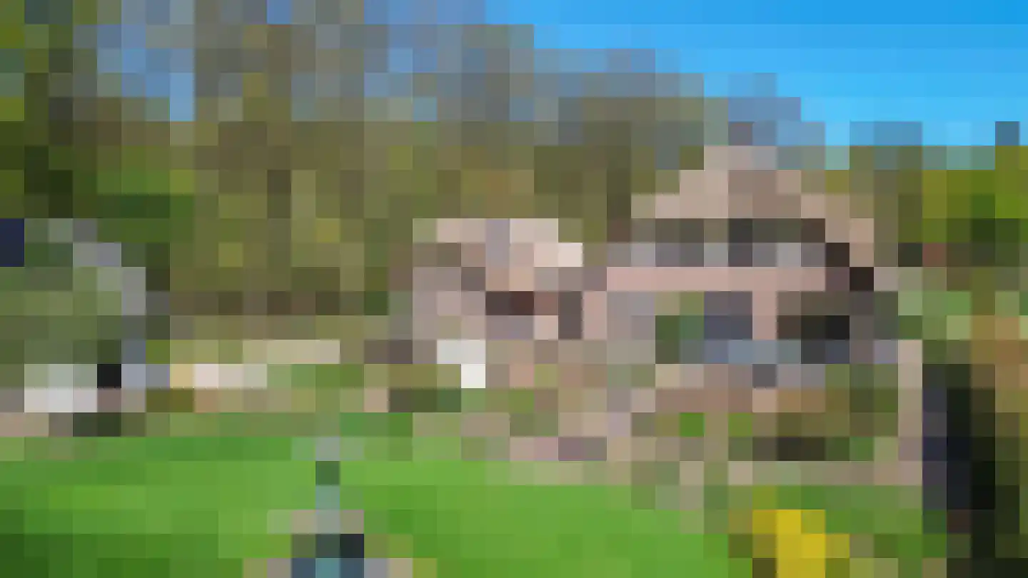Hessenweg 2 Putten thumbnail 59
